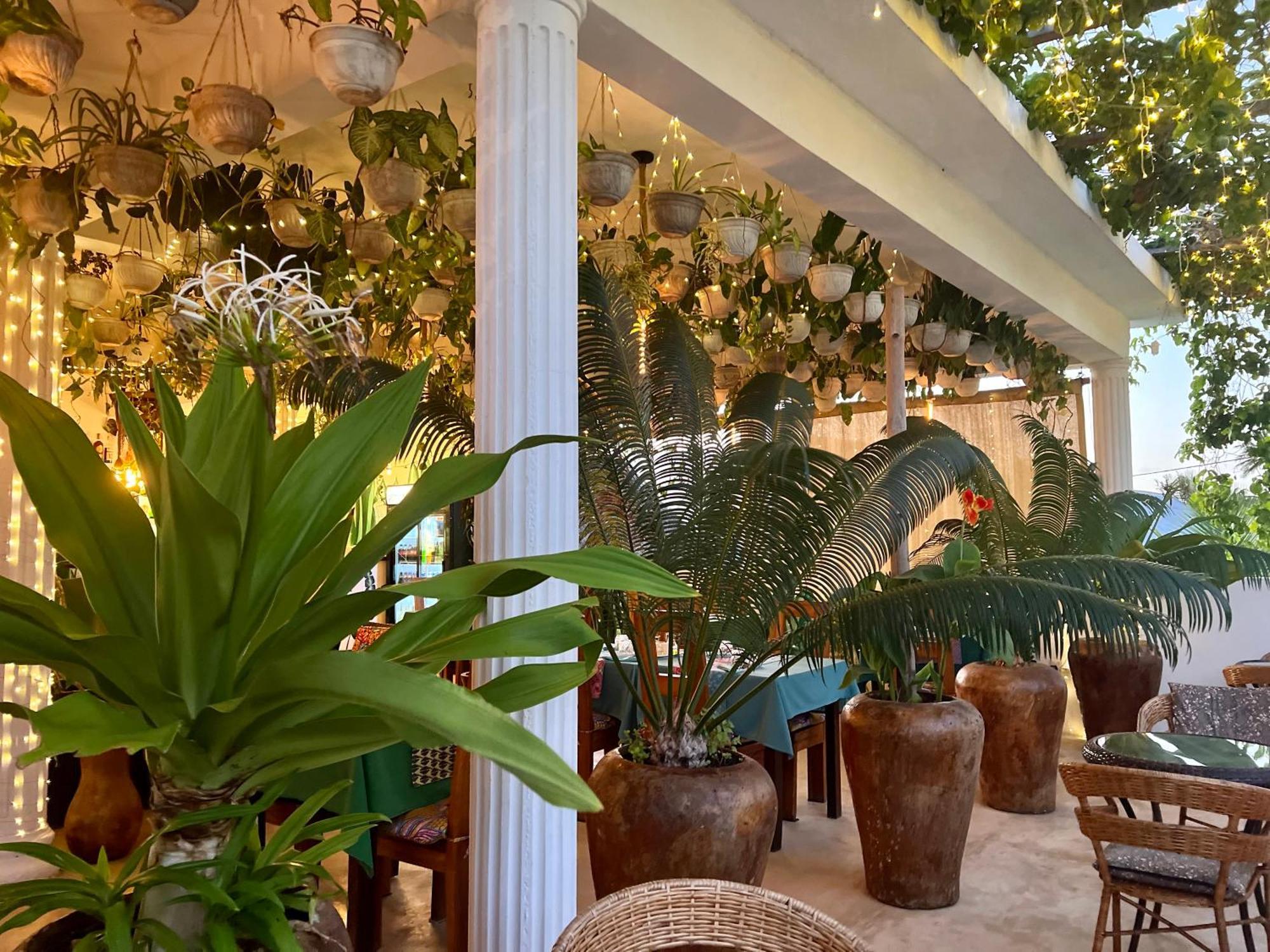 Gadea Boutique Hotel& Gadea Garden Italian Restaurant (Adults Only) Jambiani  Kültér fotó