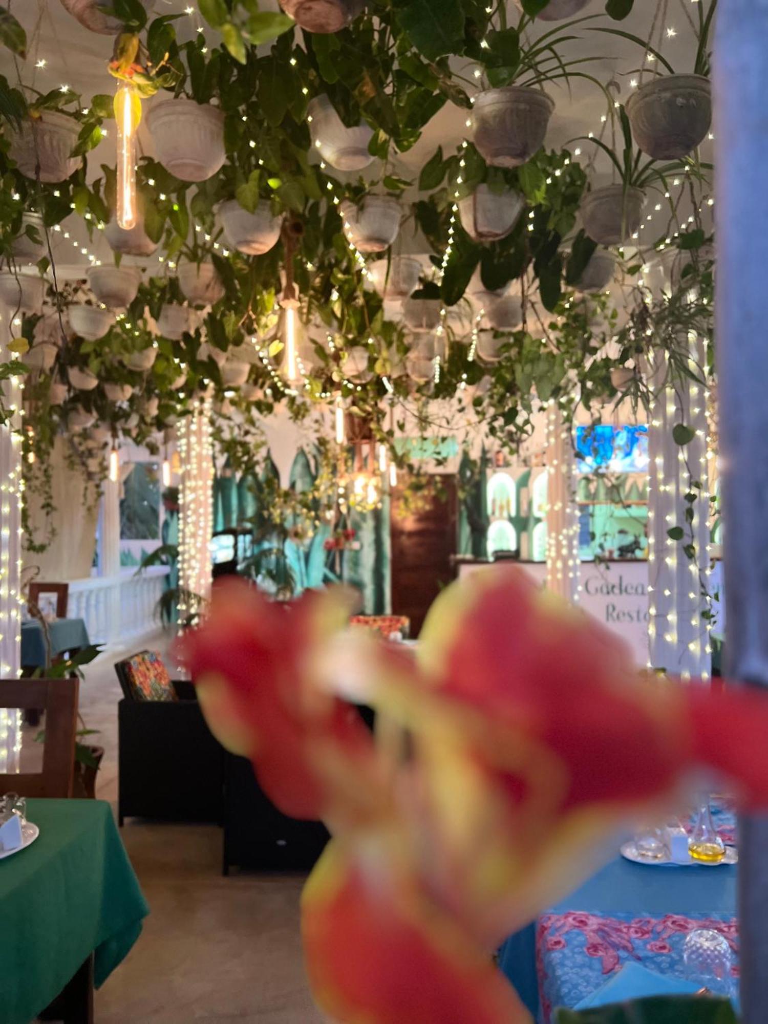 Gadea Boutique Hotel& Gadea Garden Italian Restaurant (Adults Only) Jambiani  Kültér fotó
